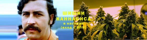 PSILOCYBIN Верхний Тагил