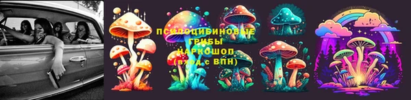 твердый Нягань