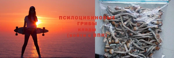 соль ск Няндома