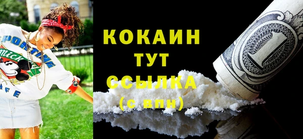 твердый Нягань