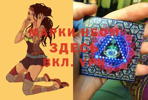 соль ск Няндома