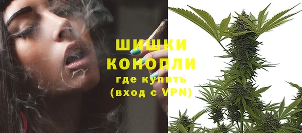 соль ск Няндома