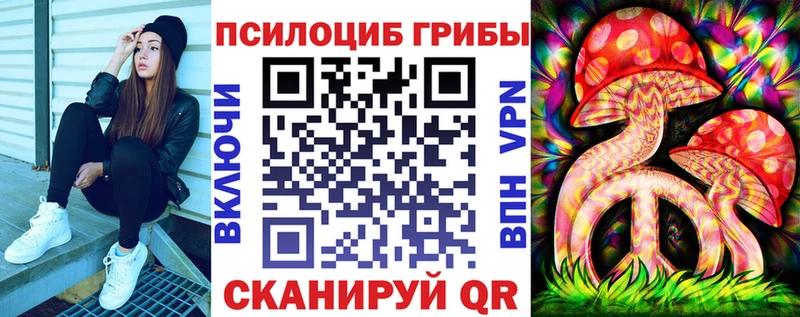 даркнет Telegram Выборг Галлюциногенные грибы ЛСД
