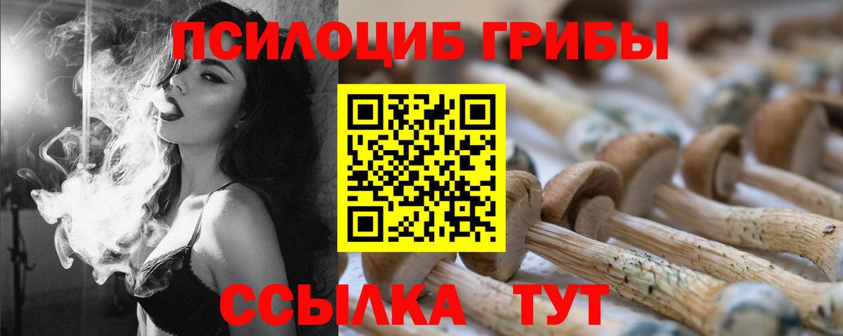Выборг  Галлюциногенные грибы прущие грибы  продажа наркотиков  Вход с VPN 